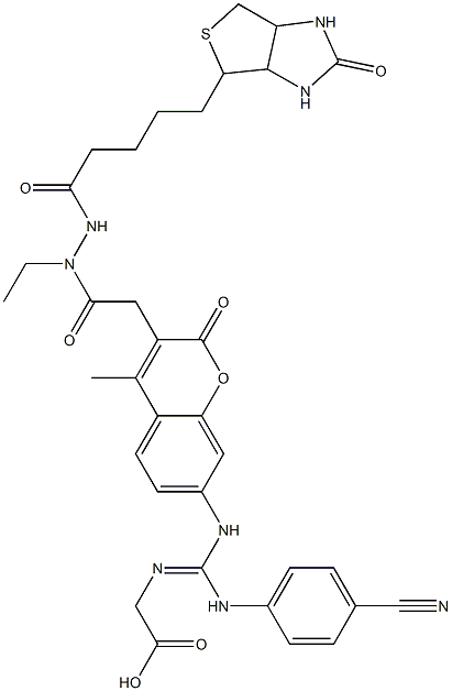 2-(carboxymethyl)-3-(4-cyanophenyl)-1-(3-(((((((hexahydro-2-oxo-1H-thieno(3,4-d)imidazol-4-yl)butyl)carbonyl)amino)ethylamino)carbonyl)methyl)-4-methyl-2-oxobenzopyran-7-yl)guanidine