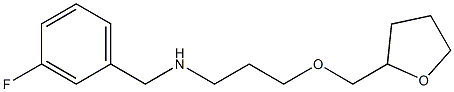 [(3-fluorophenyl)methyl][3-(oxolan-2-ylmethoxy)propyl]amine Struktur