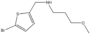 [(5-bromothiophen-2-yl)methyl](3-methoxypropyl)amine Struktur