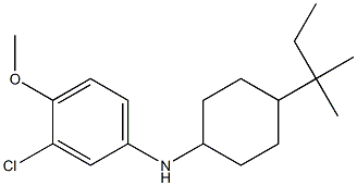 3-chloro-4-methoxy-N-[4-(2-methylbutan-2-yl)cyclohexyl]aniline Struktur