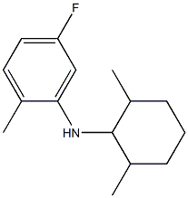 N-(2,6-dimethylcyclohexyl)-5-fluoro-2-methylaniline Struktur
