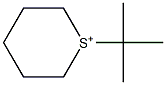Hexahydro-1-tert-butylthiopyrylium Struktur