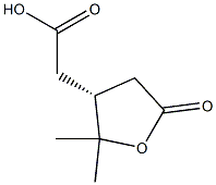 (R)-Tetrahydro-2,2-dimethyl-5-oxo-3-furanacetic acid Struktur