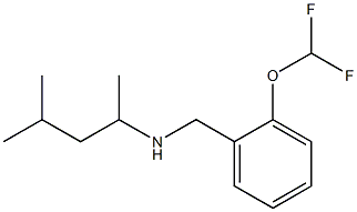 {[2-(difluoromethoxy)phenyl]methyl}(4-methylpentan-2-yl)amine Struktur