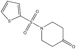 1-(thien-2-ylsulfonyl)piperidin-4-one Struktur