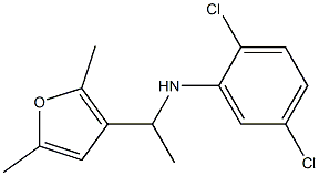 2,5-dichloro-N-[1-(2,5-dimethylfuran-3-yl)ethyl]aniline Struktur