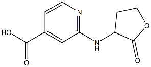 2-[(2-oxooxolan-3-yl)amino]pyridine-4-carboxylic acid Struktur