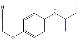 2-[4-(butan-2-ylamino)phenoxy]acetonitrile Struktur