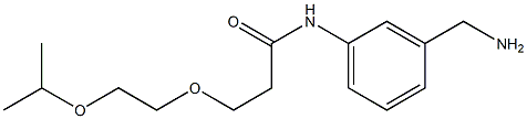 N-[3-(aminomethyl)phenyl]-3-[2-(propan-2-yloxy)ethoxy]propanamide Struktur