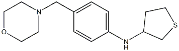 N-[4-(morpholin-4-ylmethyl)phenyl]thiolan-3-amine Structure