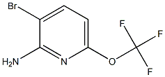 3-bromo-6-(trifluoromethoxy)pyridin-2-amine|3-溴-6-(三氟甲氧基)吡啶-2-胺
