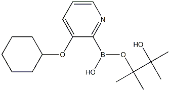 3-(Cyclohexyloxy)pyridine-2-boronic acid pinacol ester Struktur