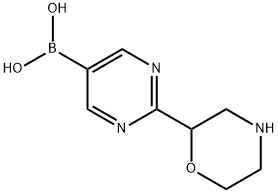 (2-(morpholin-2-yl)pyrimidin-5-yl)boronic acid Struktur