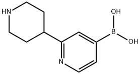 (2-(piperidin-4-yl)pyridin-4-yl)boronic acid Struktur