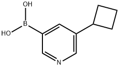 (5-cyclobutylpyridin-3-yl)boronic acid Struktur
