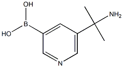 (5-(2-aminopropan-2-yl)pyridin-3-yl)boronic acid Struktur