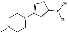 (4-(4-methylpiperazin-1-yl)thiophen-2-yl)boronic acid Struktur