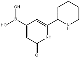 (2-hydroxy-6-(piperidin-2-yl)pyridin-4-yl)boronic acid Struktur