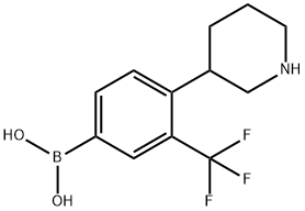 (4-(piperidin-3-yl)-3-(trifluoromethyl)phenyl)boronic acid Struktur