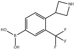 (4-(azetidin-3-yl)-3-(trifluoromethyl)phenyl)boronic acid Struktur