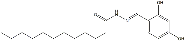 N'-[(1E)-(2,4-dihydroxyphenyl)methylidene]dodecanehydrazide Struktur