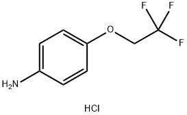Benzenamine, 4-(2,2,2-trifluoroethoxy)-, hydrochloride Struktur