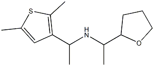 [1-(2,5-dimethylthiophen-3-yl)ethyl][1-(oxolan-2-yl)ethyl]amine Struktur