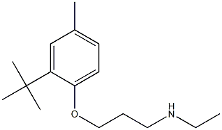 [3-(2-tert-butyl-4-methylphenoxy)propyl](ethyl)amine Structure