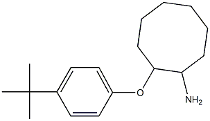 2-(4-tert-butylphenoxy)cyclooctan-1-amine Struktur