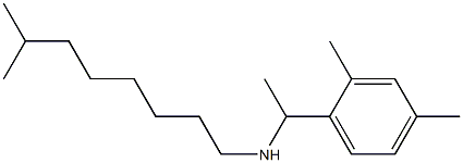 [1-(2,4-dimethylphenyl)ethyl](7-methyloctyl)amine Struktur