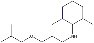 2,6-dimethyl-N-[3-(2-methylpropoxy)propyl]cyclohexan-1-amine Structure