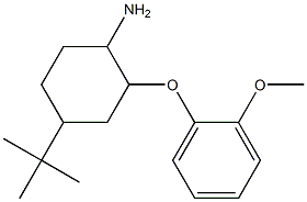 4-tert-butyl-2-(2-methoxyphenoxy)cyclohexan-1-amine Struktur