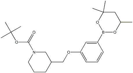 tert-Butyl 3{[3-(4,4,6-trimethyl-1,3,2-dioxaborinan-2-yl)phenoxy]methyl}piperidine-1-carboxylate Struktur