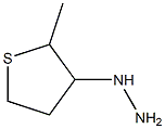 1-(tetrahydro-2-methylthiophen-3-yl)hydrazine Struktur