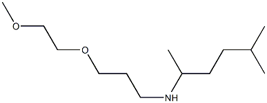 [3-(2-methoxyethoxy)propyl](5-methylhexan-2-yl)amine Struktur