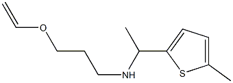 [3-(ethenyloxy)propyl][1-(5-methylthiophen-2-yl)ethyl]amine Struktur