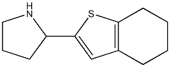 2-(4,5,6,7-tetrahydro-1-benzothiophen-2-yl)pyrrolidine Struktur