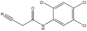 2-cyano-N-(2,4,5-trichlorophenyl)acetamide Struktur