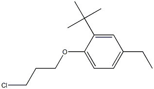 2-tert-butyl-1-(3-chloropropoxy)-4-ethylbenzene Struktur