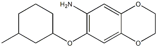7-[(3-methylcyclohexyl)oxy]-2,3-dihydro-1,4-benzodioxin-6-amine Struktur