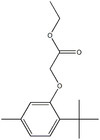 ethyl 2-(2-tert-butyl-5-methylphenoxy)acetate Struktur