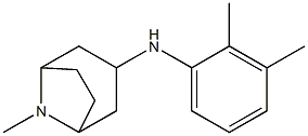 N-(2,3-dimethylphenyl)-8-methyl-8-azabicyclo[3.2.1]octan-3-amine Struktur