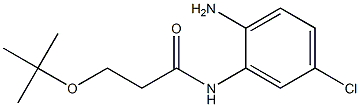 N-(2-amino-5-chlorophenyl)-3-(tert-butoxy)propanamide Struktur