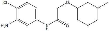 N-(3-amino-4-chlorophenyl)-2-[(3-methylcyclohexyl)oxy]acetamide Struktur