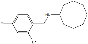 N-[(2-bromo-4-fluorophenyl)methyl]cyclooctanamine Struktur