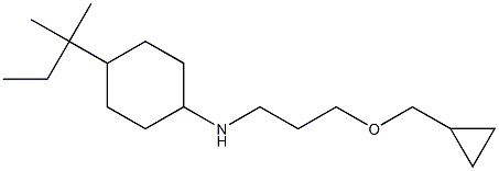 N-[3-(cyclopropylmethoxy)propyl]-4-(2-methylbutan-2-yl)cyclohexan-1-amine Struktur