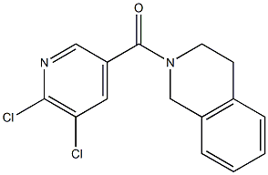 2-[(5,6-dichloropyridin-3-yl)carbonyl]-1,2,3,4-tetrahydroisoquinoline Struktur