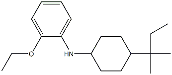 2-ethoxy-N-[4-(2-methylbutan-2-yl)cyclohexyl]aniline Struktur