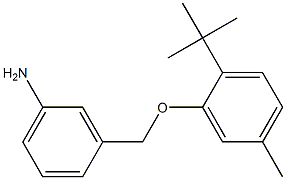3-(2-tert-butyl-5-methylphenoxymethyl)aniline Struktur