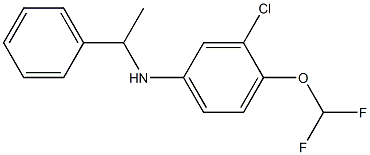 3-chloro-4-(difluoromethoxy)-N-(1-phenylethyl)aniline Struktur
